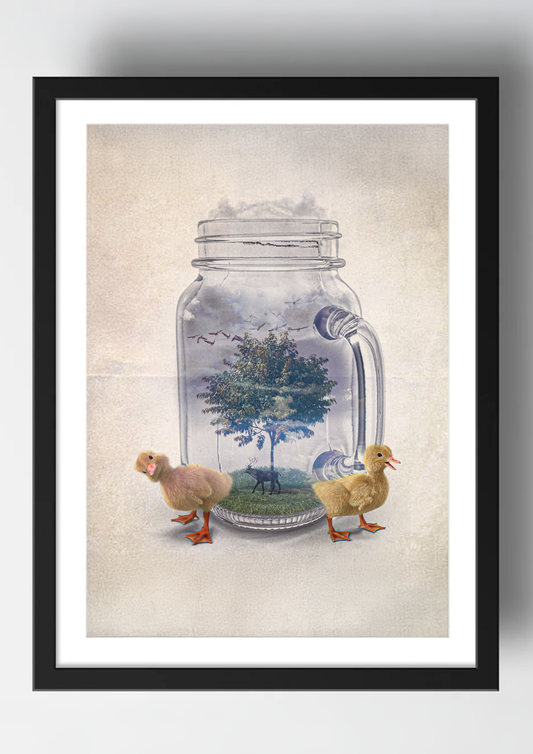 Animals Two